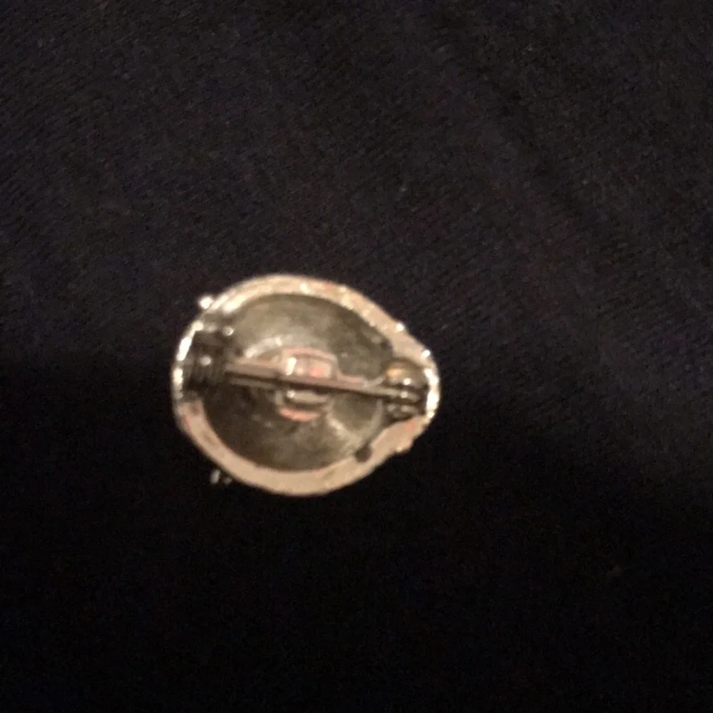Ladybug Pin - Picture 3 of 4